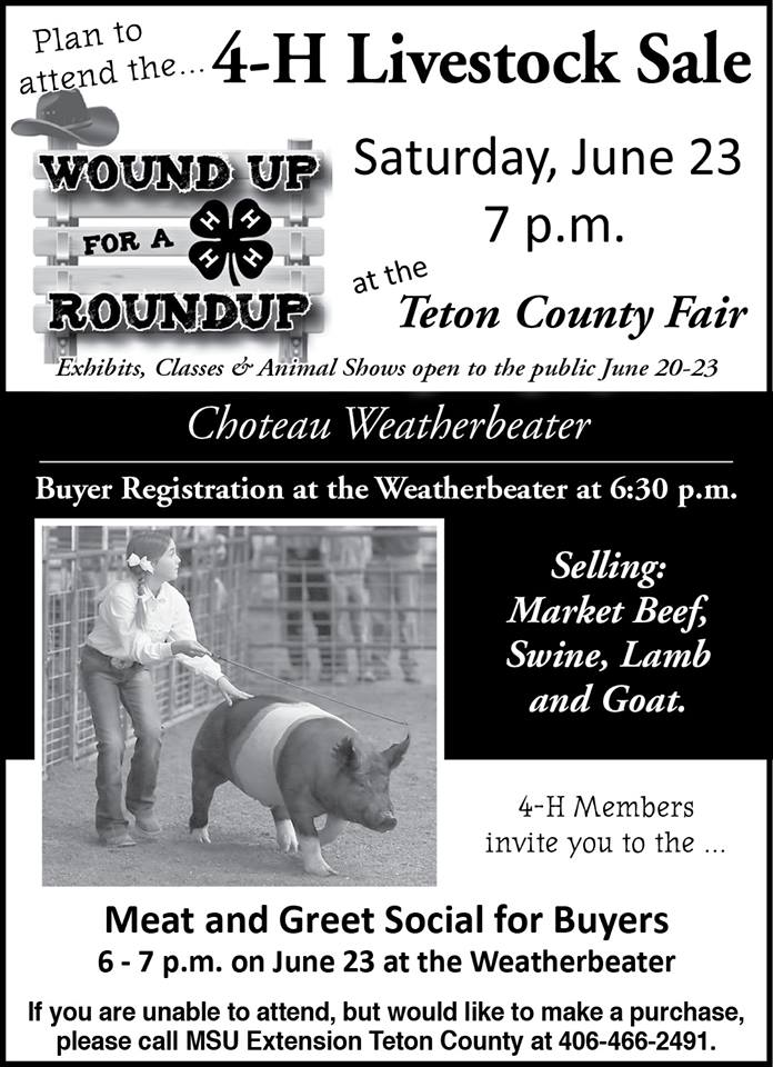 4-H Livestock Sale and Teton County Fair * Visit Choteau