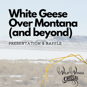 White Geese Over Montana & beyond presentation, wild wings choteau logo in bottom left hand corner. background is snow geese in flight